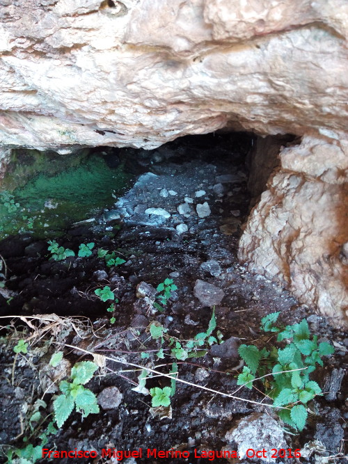 Yacimiento de la Cueva Del Nacimiento - Yacimiento de la Cueva Del Nacimiento. 