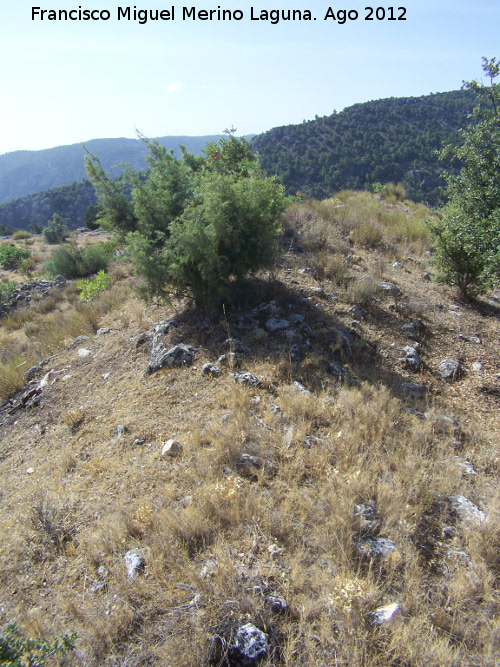 Yacimiento de Hoya Somera - Yacimiento de Hoya Somera. Muralla