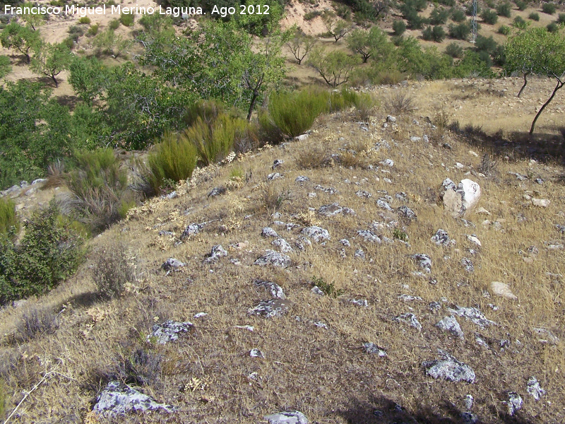 Yacimiento de Hoya Somera - Yacimiento de Hoya Somera. Muralla