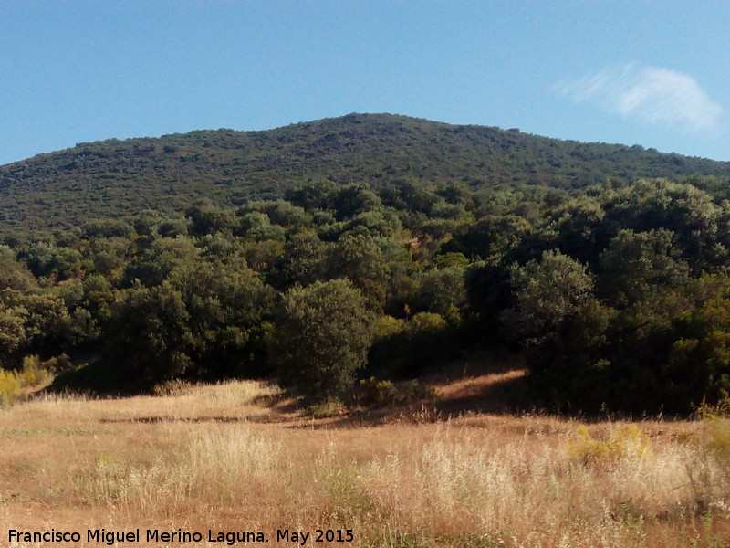 Loma de la Sarna - Loma de la Sarna. 