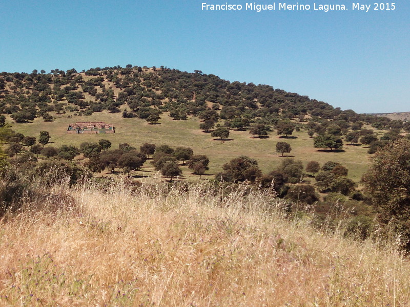 Cerro del Castro - Cerro del Castro. 