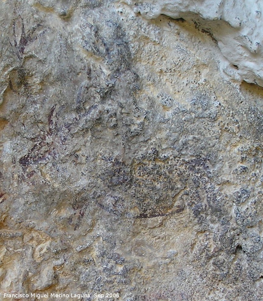 Pinturas rupestres de la Cueva del Engarbo II. Grupo II - Pinturas rupestres de la Cueva del Engarbo II. Grupo II. Ciervo superior