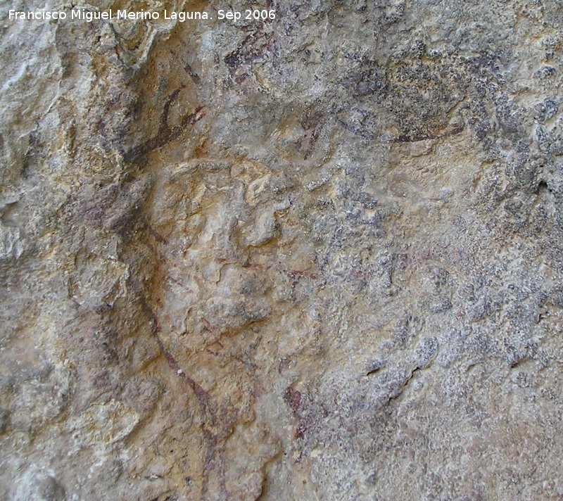 Pinturas rupestres de la Cueva del Engarbo II. Grupo II - Pinturas rupestres de la Cueva del Engarbo II. Grupo II. Ciervo inferior