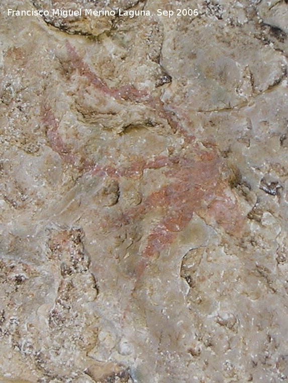 Pinturas rupestres de la Cueva del Engarbo II. Grupo II - Pinturas rupestres de la Cueva del Engarbo II. Grupo II. Cabeza de gamo