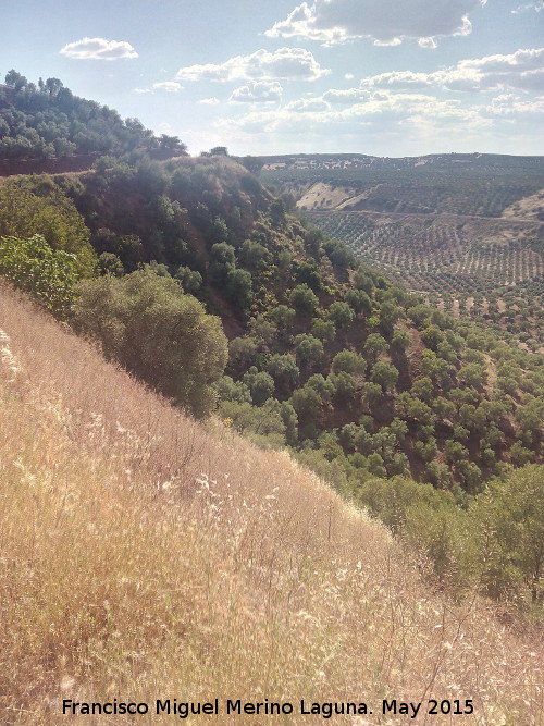 Camino del Mortero - Camino del Mortero. 