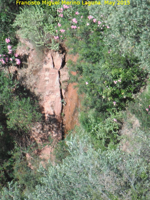 Rezumadero de la Vieja - Rezumadero de la Vieja. 