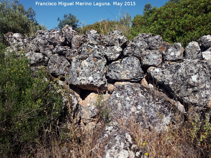 Yacimiento La Cerca - Yacimiento La Cerca. Muralla