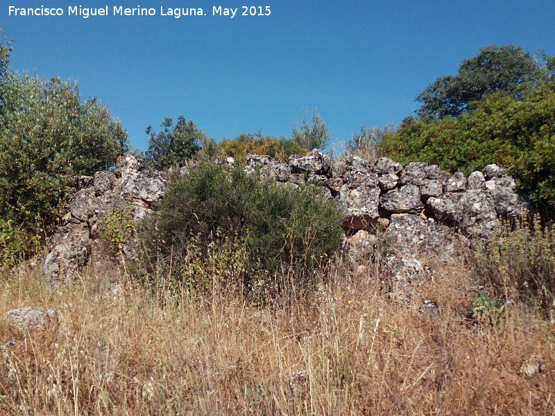 Yacimiento La Cerca - Yacimiento La Cerca. Muralla