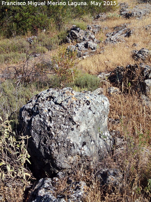 Yacimiento La Cerca - Yacimiento La Cerca. Muralla