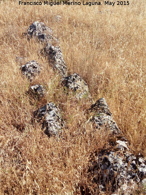 Yacimiento La Cerca - Yacimiento La Cerca. Muro