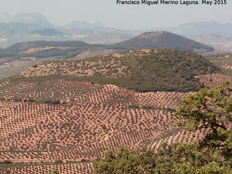 Cerro de los Margaritos - Cerro de los Margaritos. 