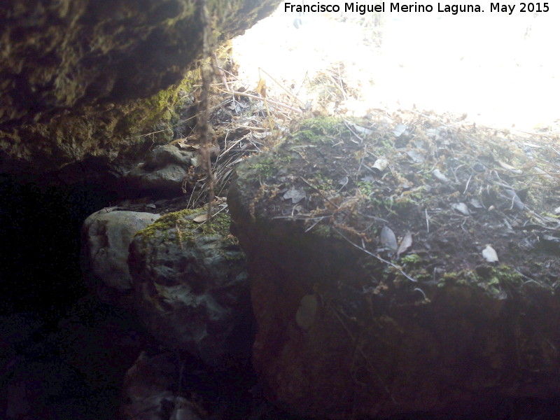 Cueva de Cabeza Alta - Cueva de Cabeza Alta. Muro que cerraba la entrada