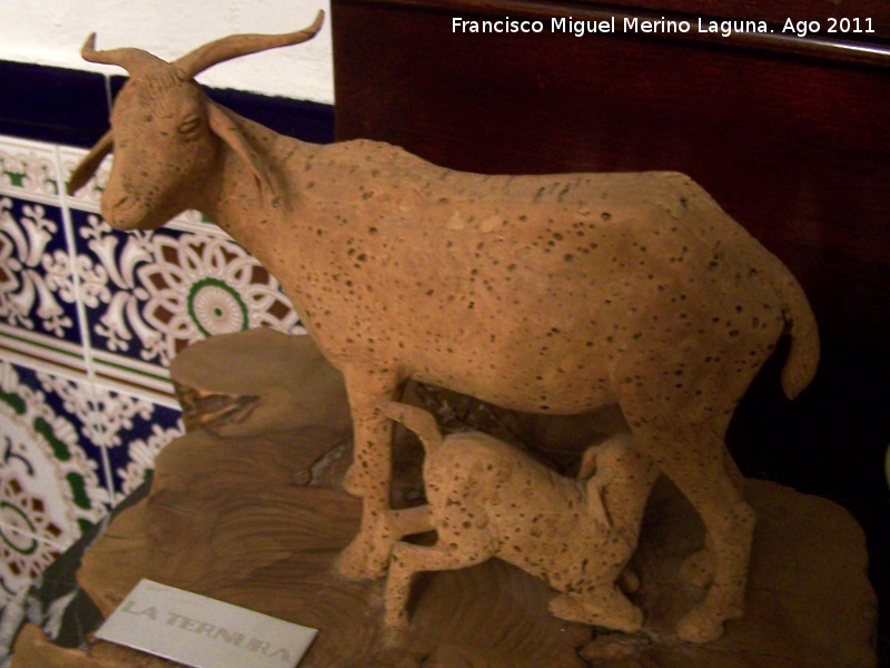 Museo del corcho - Museo del corcho. La ternura