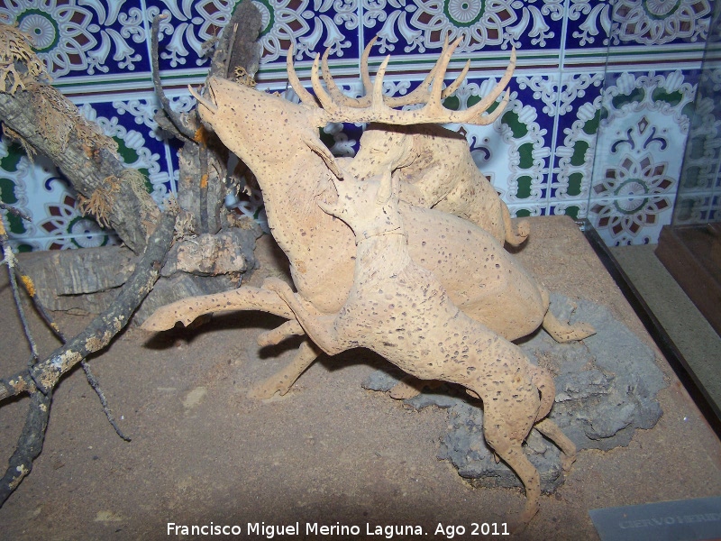 Museo del corcho - Museo del corcho. Ciervo herido