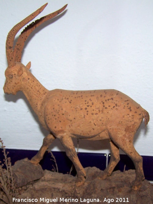 Museo del corcho - Museo del corcho. Cabra montesa