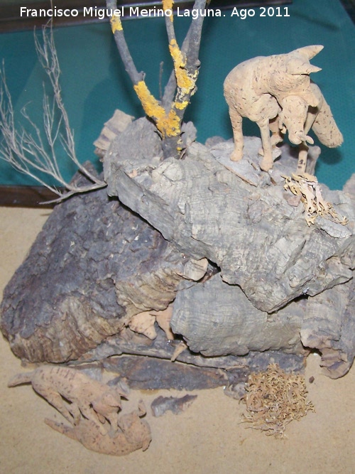 Museo del corcho - Museo del corcho. Camada de zorros