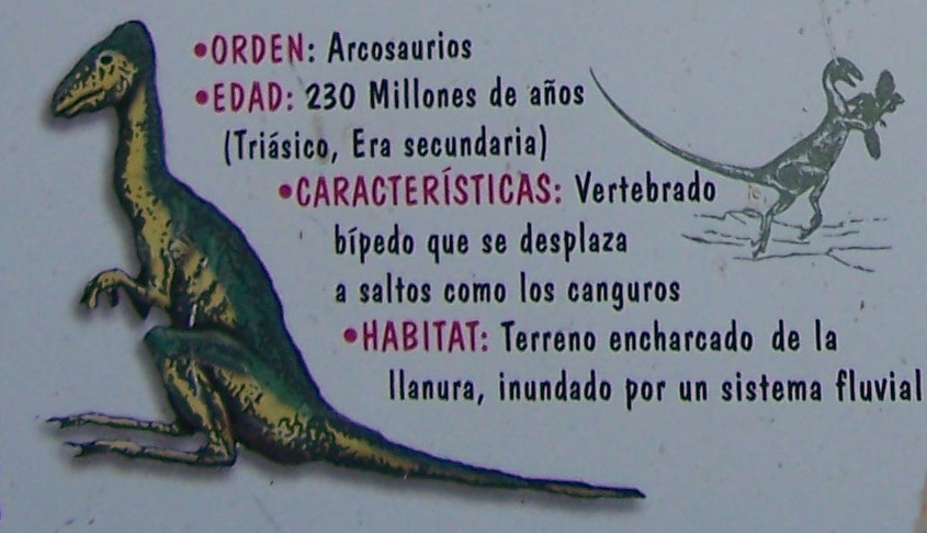 Huellas de Dinosaurio - Huellas de Dinosaurio. 
