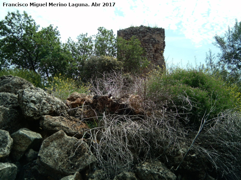 Castillo del Poyato - Castillo del Poyato. 