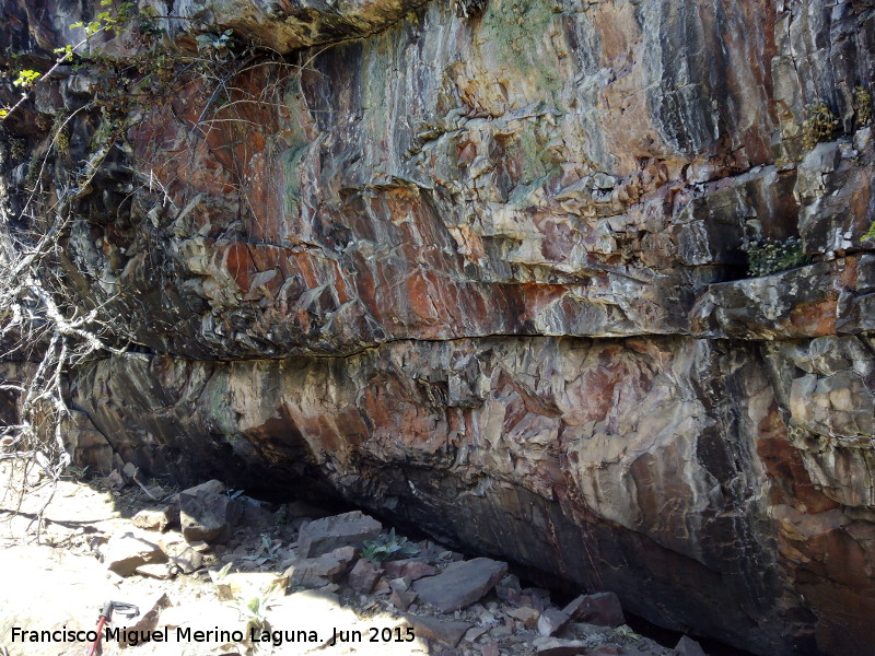 Pinturas rupestres del Barranco de la Cueva Grupo V - Pinturas rupestres del Barranco de la Cueva Grupo V. Abrigo