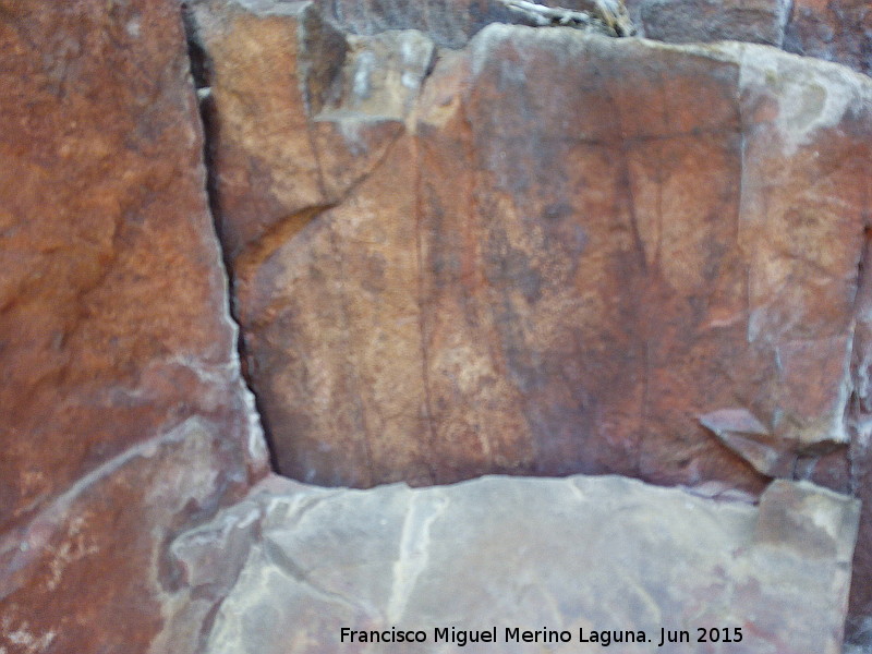 Pinturas rupestres del Barranco de la Cueva Grupo V - Pinturas rupestres del Barranco de la Cueva Grupo V. Restos de pinturas rupestres