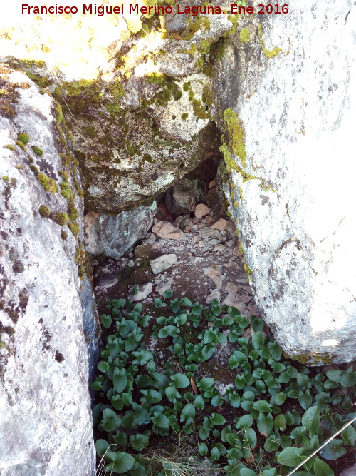 Poblado islmico de la Coronilla - Poblado islmico de la Coronilla. Entrada cegada a una cueva