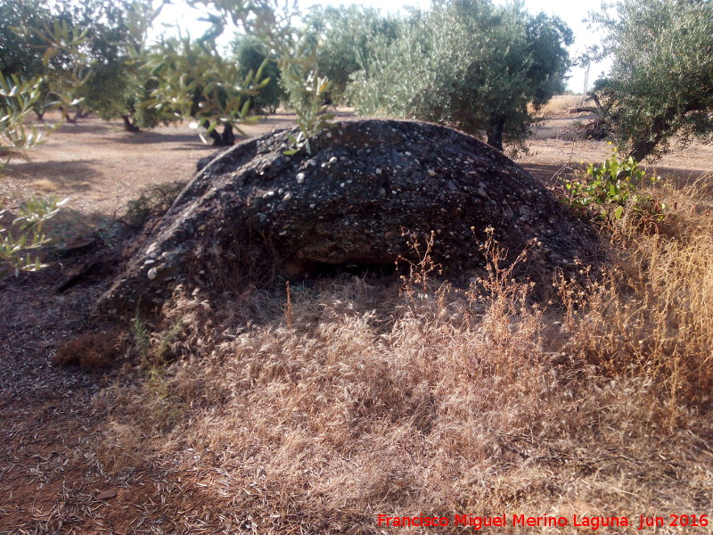 Nido de Ametralladoras del Cortijo La Granja - Nido de Ametralladoras del Cortijo La Granja. 