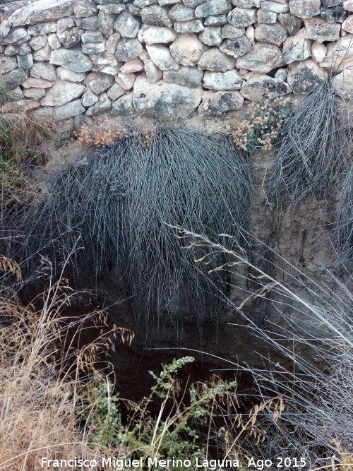 Mina de agua del Camino del Bercho - Mina de agua del Camino del Bercho. Pozo