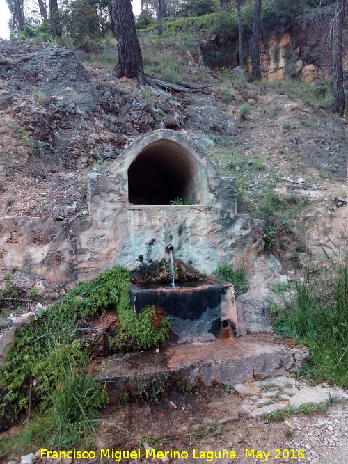 Fuente Bonales - Fuente Bonales. 