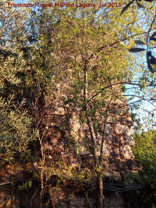 Molino de los Frailes - Molino de los Frailes. 