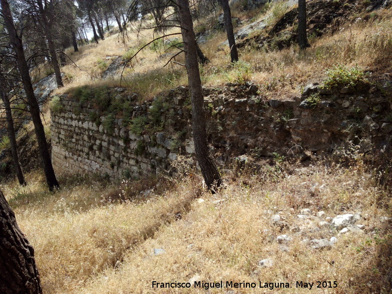 Muralla ibero romana del Cerro de Santa Catalina - Muralla ibero romana del Cerro de Santa Catalina. Murallas