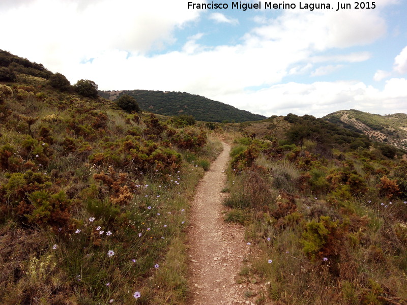 Camino Torredelcampo Jabalcuz - Camino Torredelcampo Jabalcuz. 