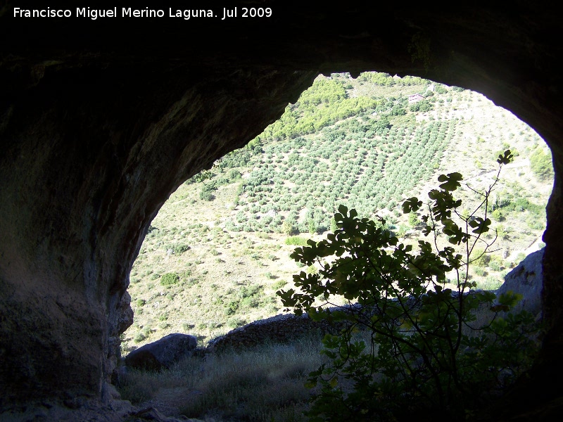 Pinturas rupestres de la Llana III - Pinturas rupestres de la Llana III. Cueva