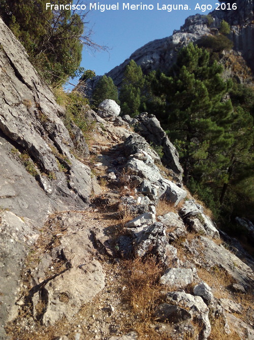 Escalera de los Faustinos - Escalera de los Faustinos. 