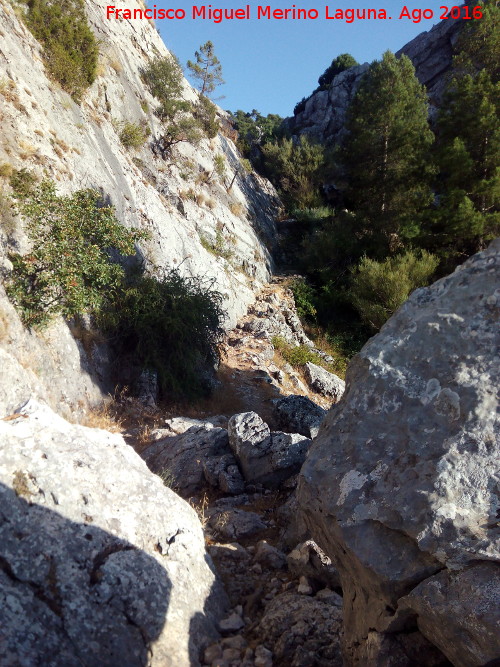 Escalera de los Faustinos - Escalera de los Faustinos. 