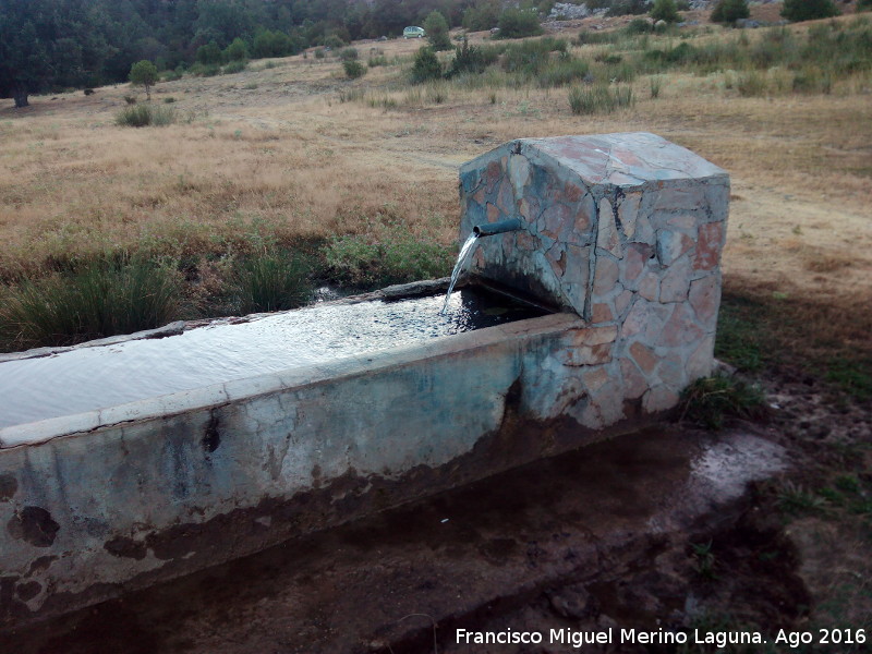 Fuente del Tejo - Fuente del Tejo. Cao