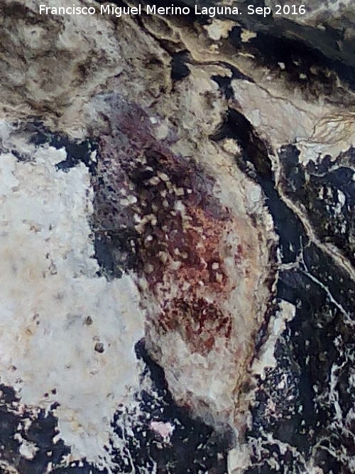 Pinturas rupestres del Pecho de la Fuente III - Pinturas rupestres del Pecho de la Fuente III. Mancha de la pared derecha