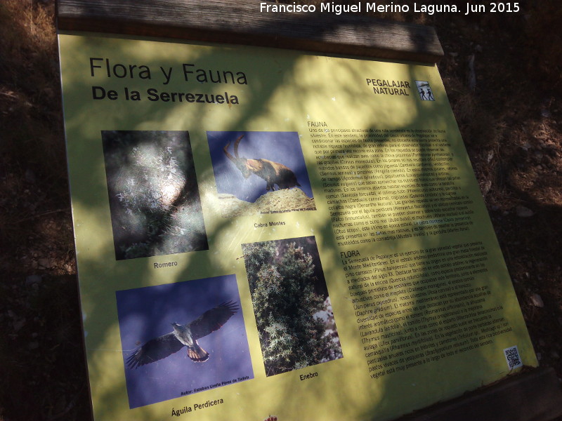 Sendero La Serrezuela - Sendero La Serrezuela. Cartel de Flora y Fauna