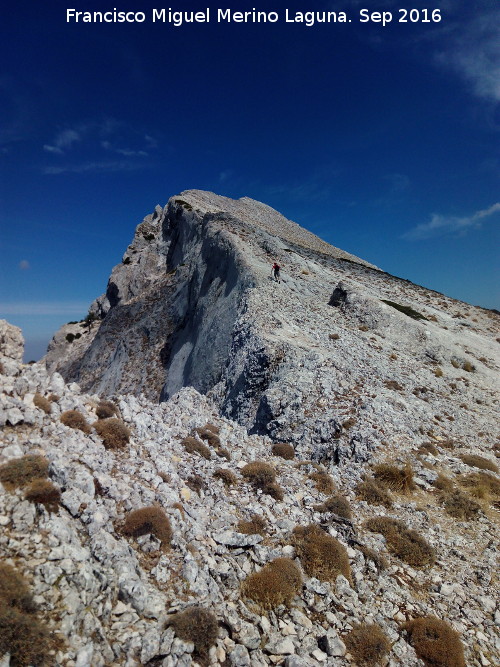 Pen del Guante - Pen del Guante. 