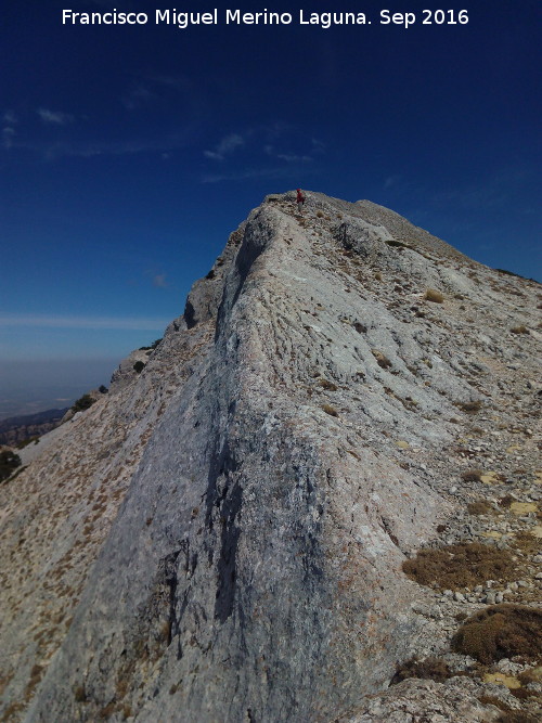 Pen del Guante - Pen del Guante. 