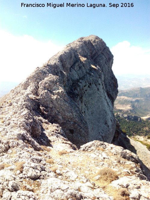 Pen del Guante - Pen del Guante. 