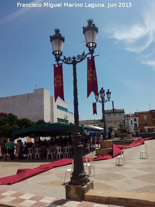 Plaza de la Constitucin - Plaza de la Constitucin. Farolas