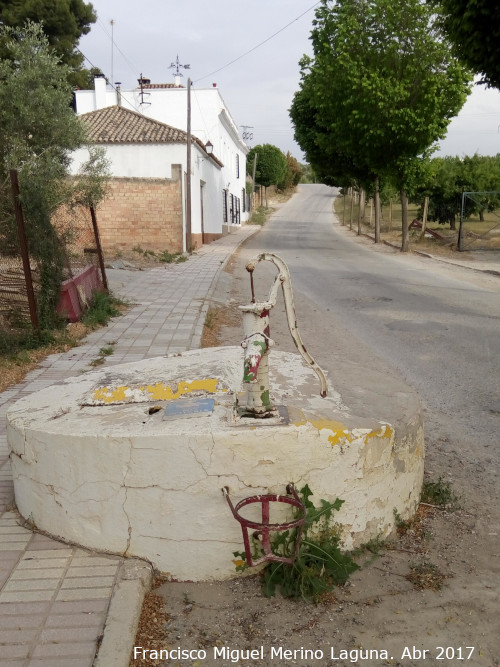 Fuente El Pozuelo - Fuente El Pozuelo. 