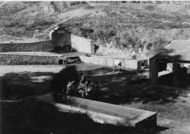 Fuente de los Grifos - Fuente de los Grifos. Foto antigua