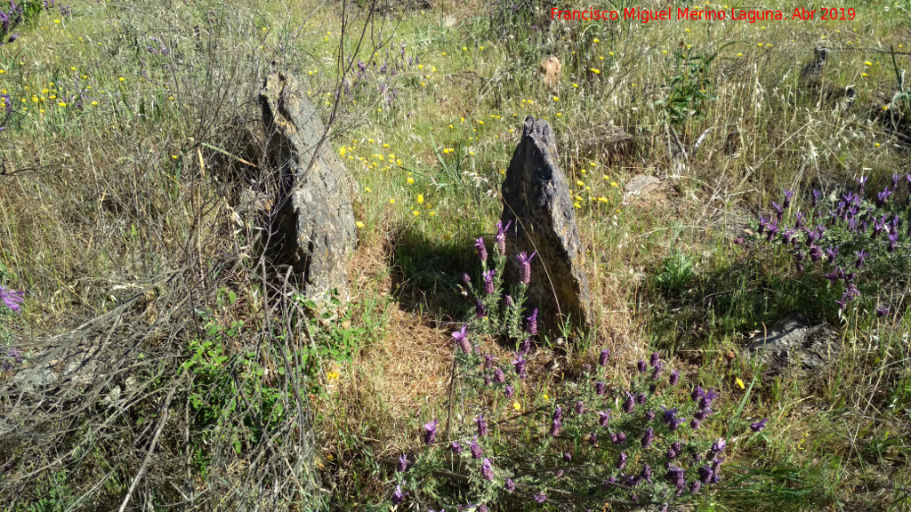 Dlmenes de los Gabrieles - Dlmenes de los Gabrieles. Dolmen VII