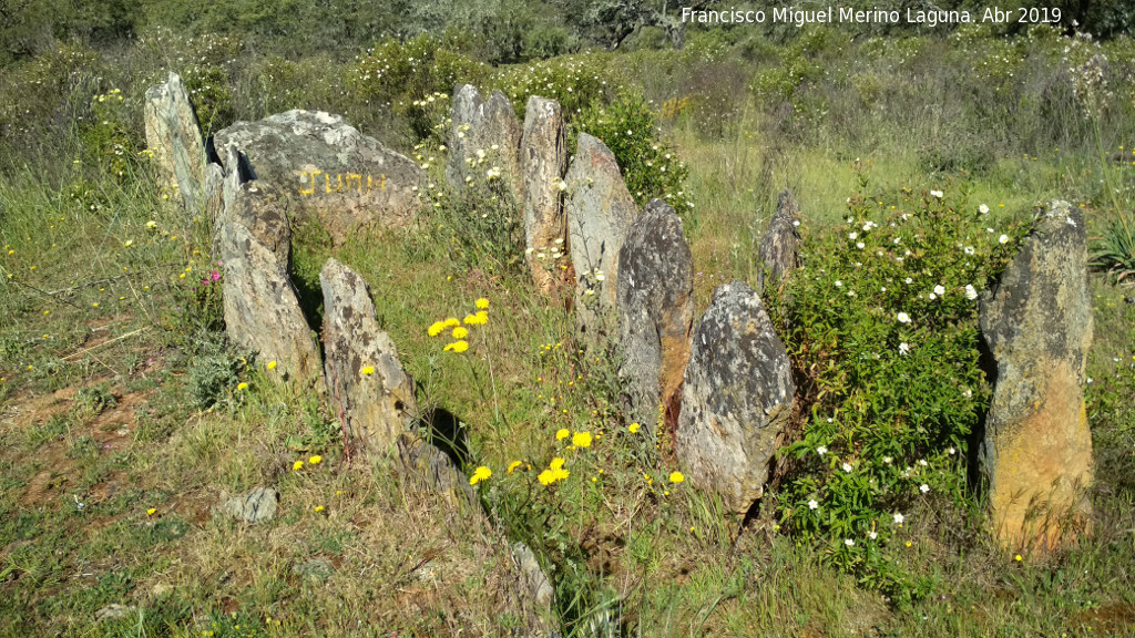 Dolmen de la Parada - Dolmen de la Parada. 