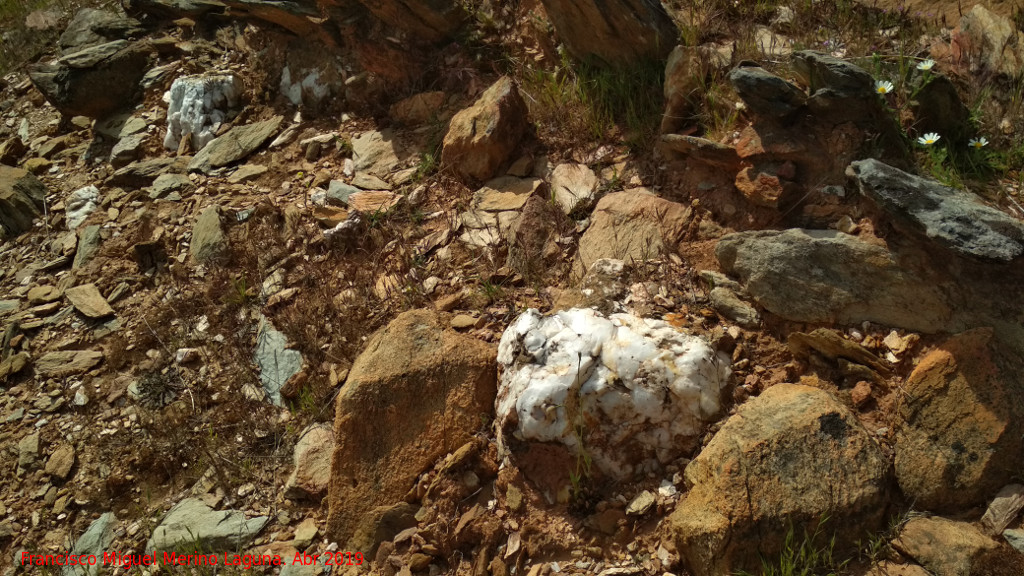 Dolmen del Pozuelo III - Dolmen del Pozuelo III. Piedras blancas
