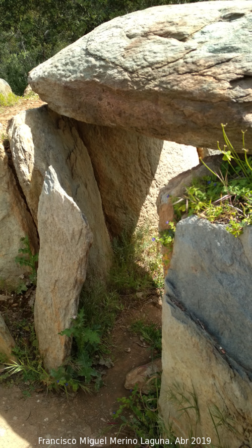 Dolmen del Pozuelo V - Dolmen del Pozuelo V. 