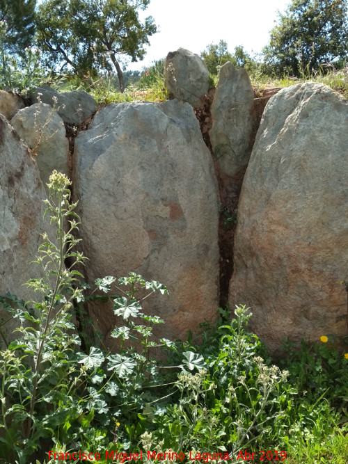 Dolmen del Pozuelo V - Dolmen del Pozuelo V. 