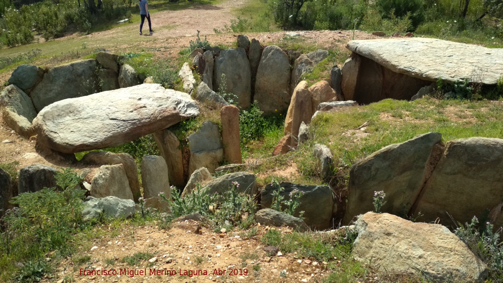 Dolmen del Pozuelo V - Dolmen del Pozuelo V. 