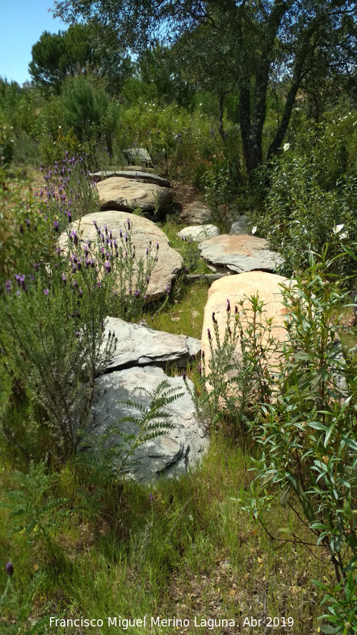 Dolmen del Pozuelo V - Dolmen del Pozuelo V. Ortostatos